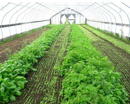 防水保温被最重要的两大优点您了解吗？