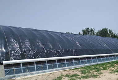 做温室大棚有什么特别的注意事项吗？